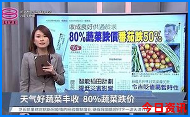 新奧天天深度解讀全年最新爆料免費第一時間大全