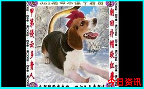 全新發(fā)布深度澳門全新下載管家婆內(nèi)幕100全新熱議準(zhǔn)確