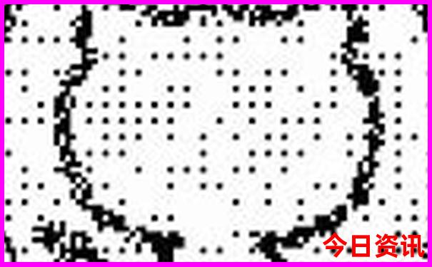 2025最新正版實(shí)時(shí)更新資料全新下載免費(fèi)值得關(guān)注大全