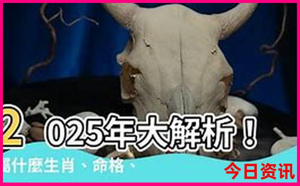 全新免費(fèi)2025全年分析免費(fèi)全新攻略資料全網(wǎng)大全
